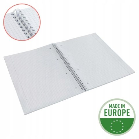 Kołonotatnik Colour`Breeze A4 w kratkę niebieski 628476 ESSELTE Kołonotatnik Colour`Breeze A4 w kratkę niebieski 628476 ESSELTE