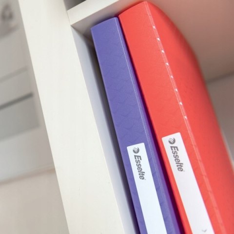 Album ofertowy Esselte Colour`Breeze z 60 koszulkami koralowy 628443 Album ofertowy Esselte Colour`Breeze z 60 koszulkami koralowy 628443