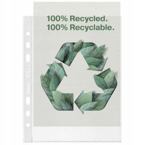Koszulka groszkowa Recycled Premium PP 70 mic. A5 opakowanie 100 sztuk 627495 ESSELTE Koszulka groszkowa Recycled Premium PP 70 mic. A5 opakowanie 100 sztuk 627495 ESSELTE