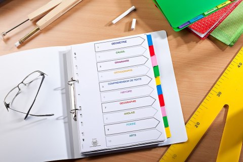 Przekładki kartonowe A4 MYLAR 1-6 kolor ELBA 100204976 Przekładki kartonowe A4 MYLAR 1-6 kolor ELBA 100204976
